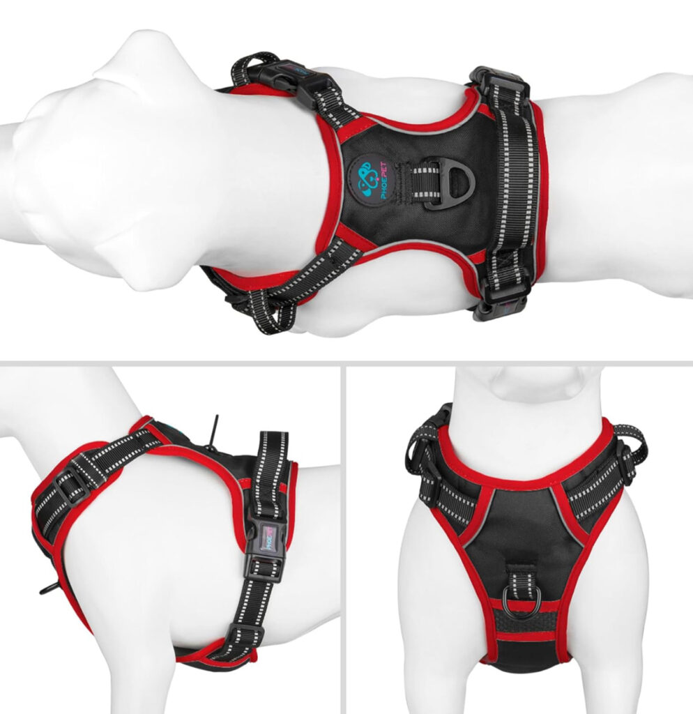 Black and red dog harness with reflective stitching, shown from multiple angles on a dog mannequin