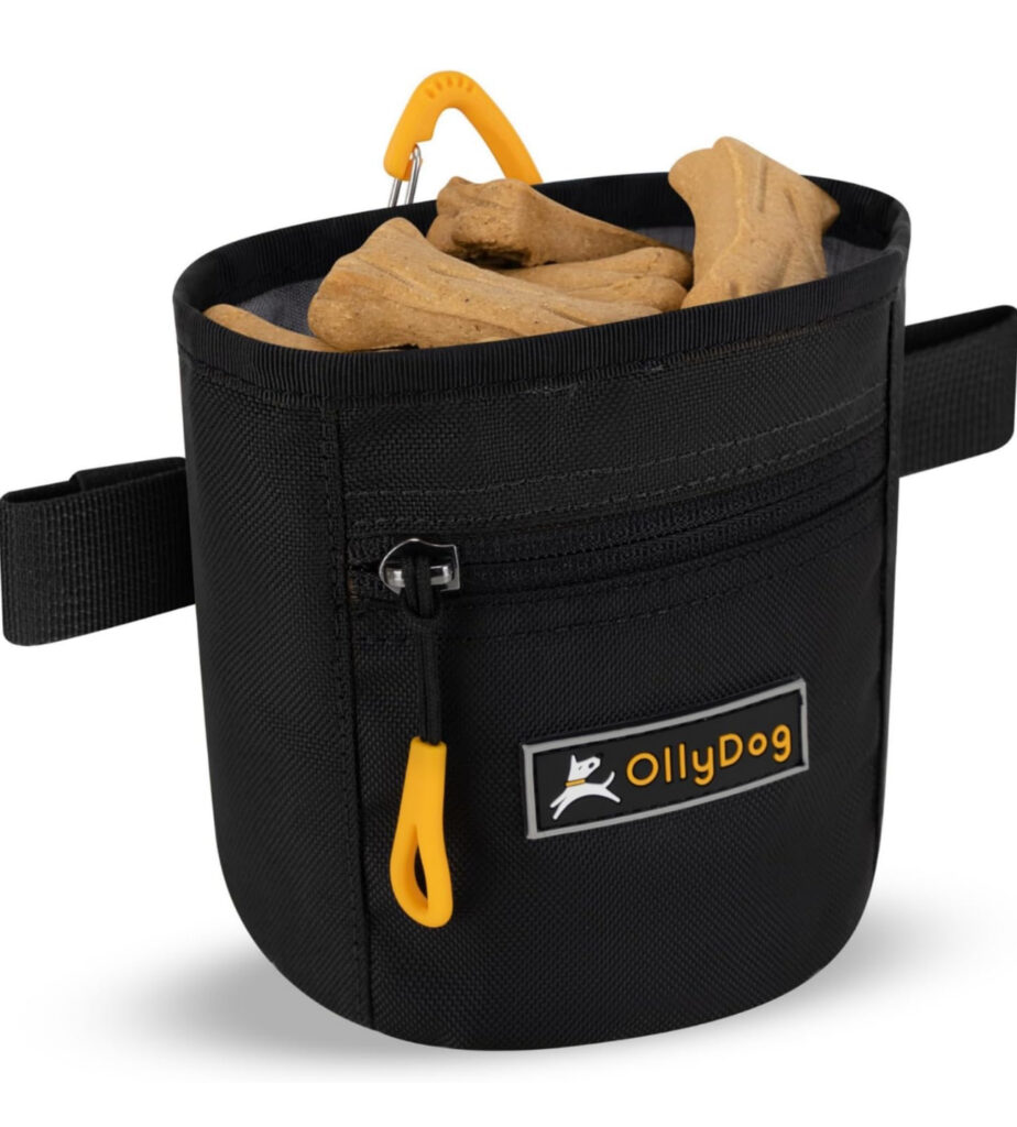 Black OllyDog treat pouch with yellow accents, filled with dog treats.